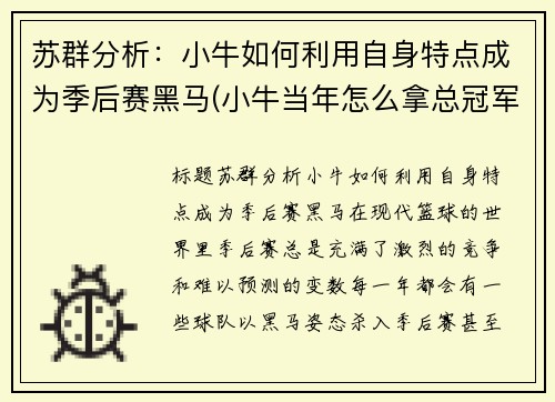 苏群分析：小牛如何利用自身特点成为季后赛黑马(小牛当年怎么拿总冠军的)